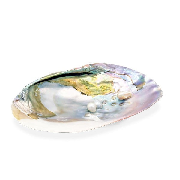 Mother Of Pearl Smudging Shell With Pearls
