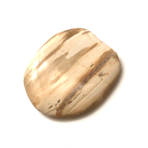 Petrified Wood Touchstone